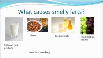 What foods make the smelliest farts?