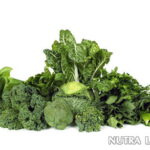 What foods thicken your blood?