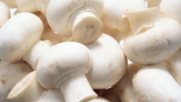 What foods to avoid if you have a mold allergy?