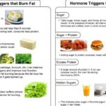 What foods trigger fat burning hormones?