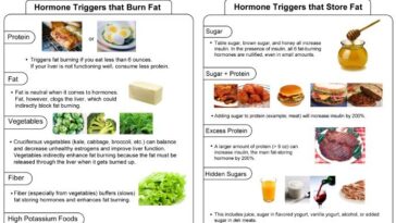 What foods trigger fat burning hormones?