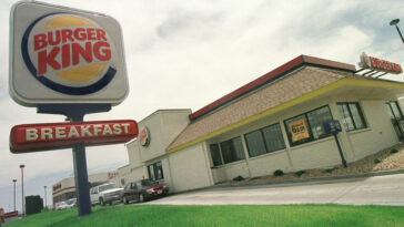 What foods were popular in 1981?