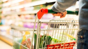 What germs are on a shopping cart?