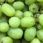 What grapes you don't eat the skin?