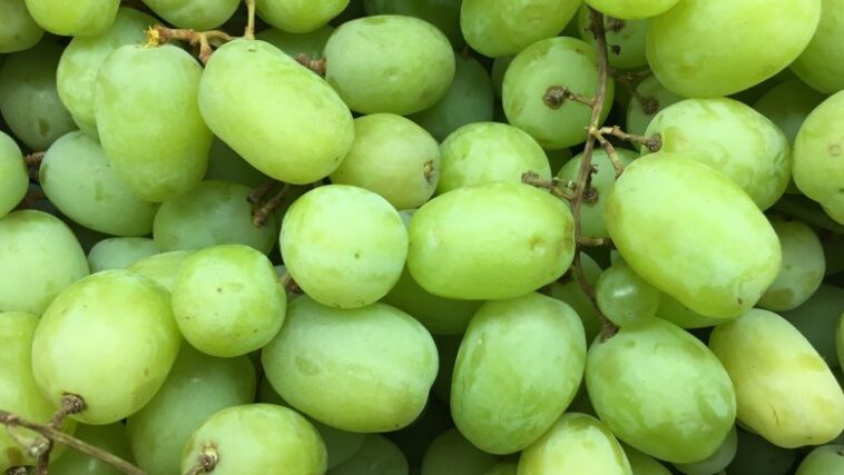 What grapes you don't eat the skin?