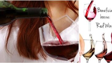 What happens if I drink a whole bottle of wine?