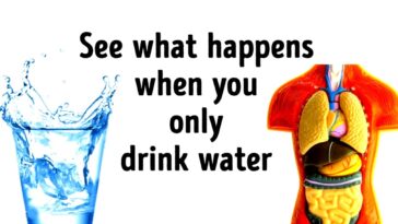 What happens if I only drink water?