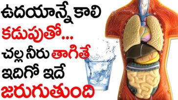 What happens if we drink jeera water on empty stomach?