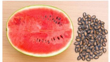 What happens if you accidentally swallow a watermelon seed?