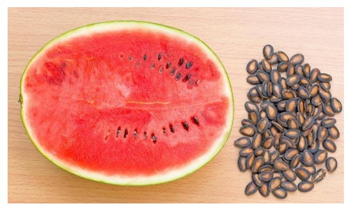 What happens if you accidentally swallow a watermelon seed?