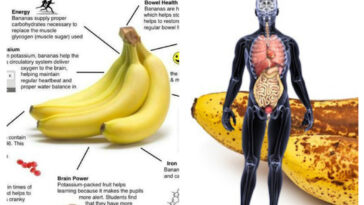 What happens if you eat 2 bananas a day?