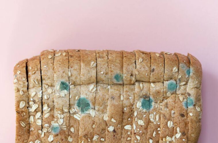 What happens if you eat a month old bread?