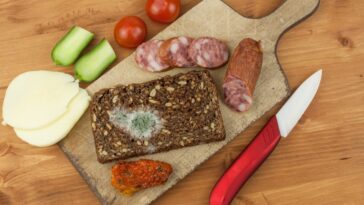 What happens if you eat cheese with mold?