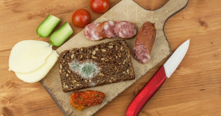 What happens if you eat cheese with mold?