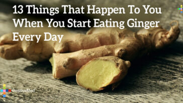 What happens if you eat old ginger root?