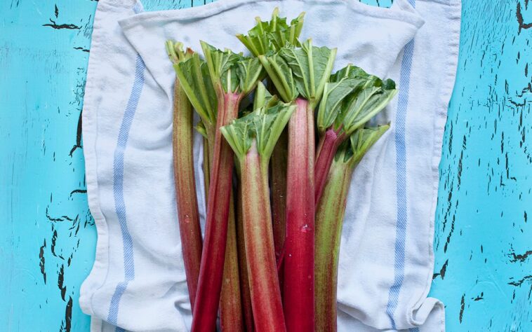 What happens if you eat raw rhubarb?