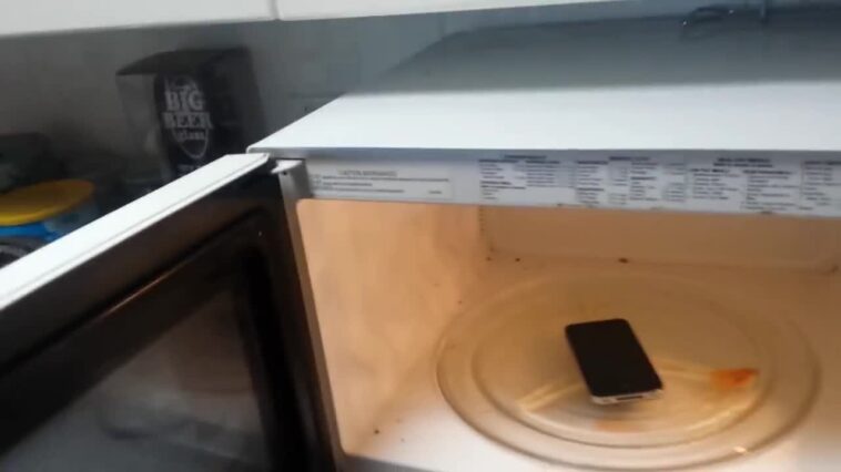 What happens if you microwave a pumpkin?