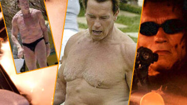 What happens to bodybuilders when they stop working out?