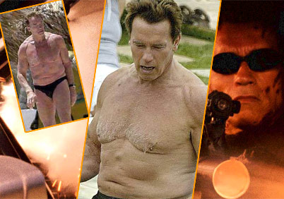 What happens to bodybuilders when they stop working out?