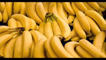 What happens when u eat too many bananas?