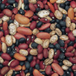 What helps digest beans?