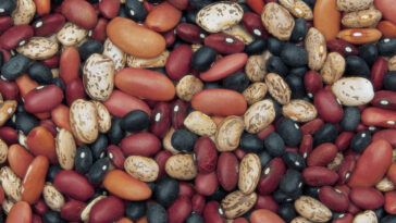 What helps digest beans?
