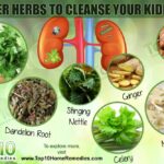 What herbs can clean the liver?