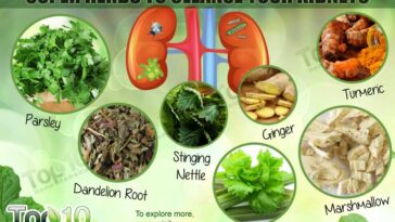 What herbs can clean the liver?