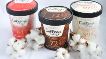 What ice cream has the lowest fat?