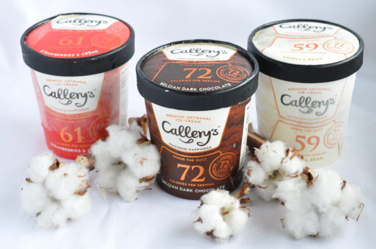 What ice cream has the lowest fat?