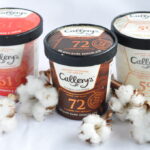 What ice cream has the lowest fat?