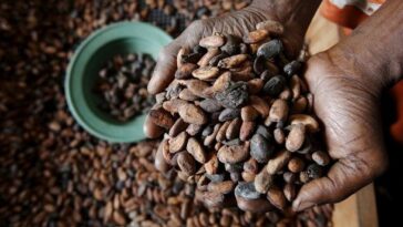 What if the world ran out of coffee?