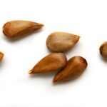 What if you swallow a seed?