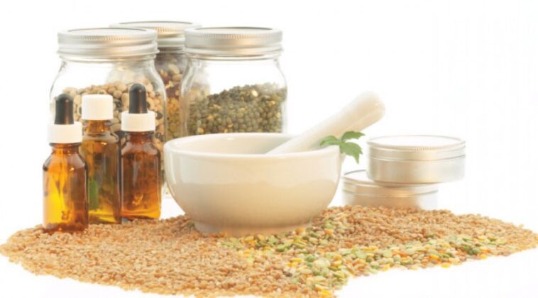 What ingredients burn fat?