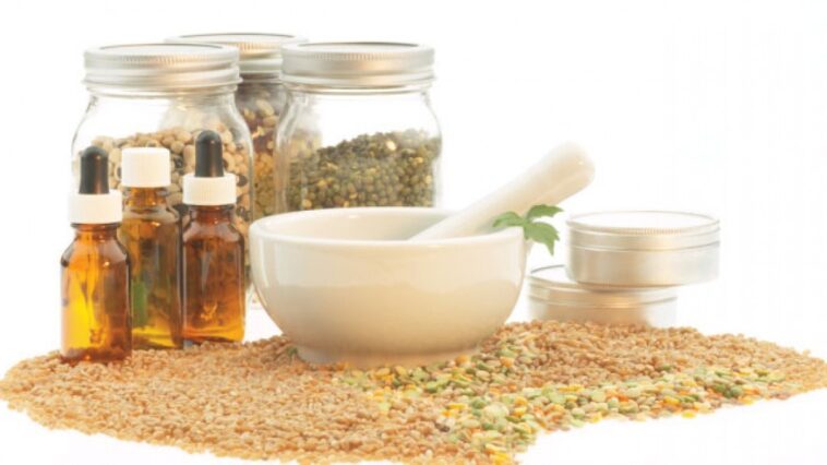 What ingredients burn fat?