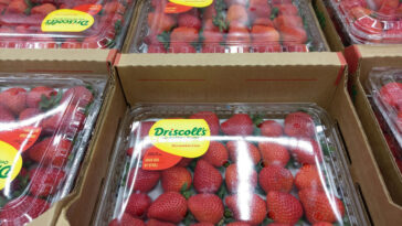 What is America's favorite jam?