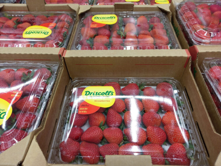 What is America's favorite jam?