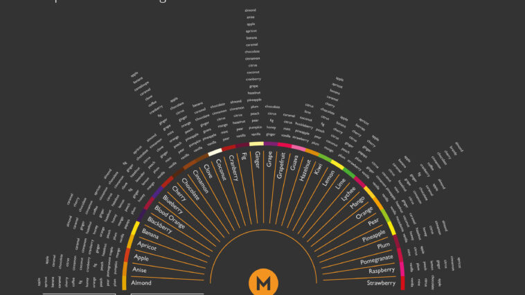 What is Flavour pairing?