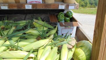 What is New Jersey's state vegetable?