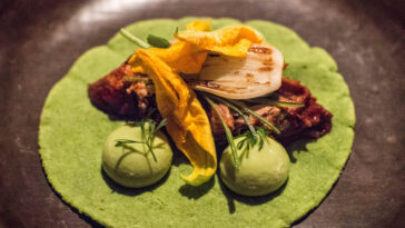 What is Pujol famous for?