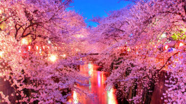 What is Sakara night water?