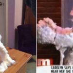 What is Sidonglobophobia?