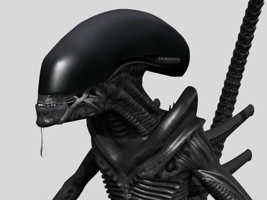 What is a Xenomorph Drone?