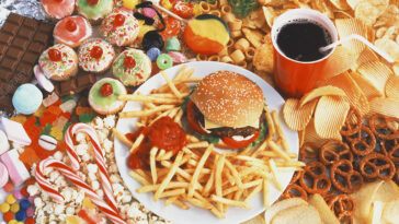 What is a food concessionaire?