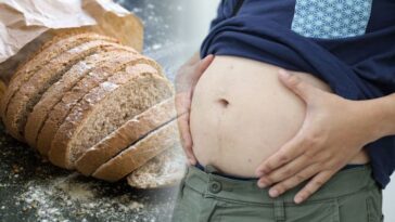 What is a gluten belly?