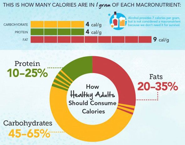 What is a good protein to calorie ratio?