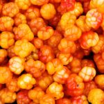 What is cloudberry sunjoy?