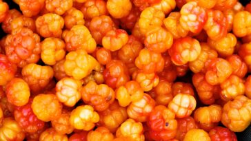 What is cloudberry sunjoy?