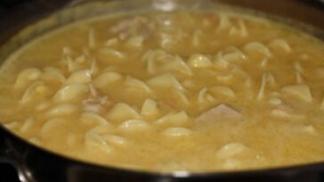 What is condensed chicken noodle soup?