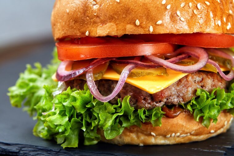 What is enlightened burger?